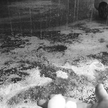 TARSİM Eksper Bekleyişi: Çiftçinin Mağduriyeti