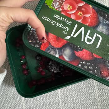 Dondurulmuş Meyve Kutusundan Çıkan Şok Edici Sürpriz