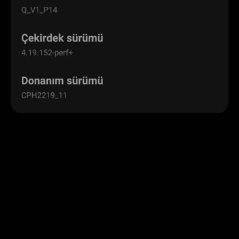 Oppo A74 Güncelleme Sonrası Bildirim Sorunu