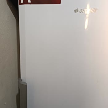 Dondurucunun Gaz Kaçağı Sorunu Yüzünden Kışlık Hazırlıklarım Çöpe Gitti