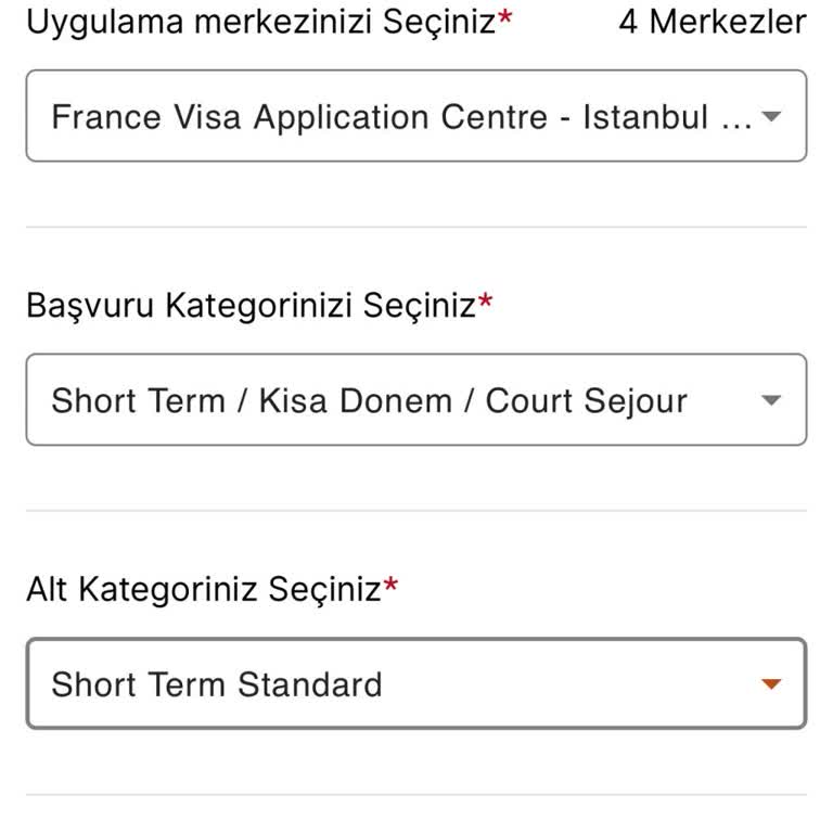 Vize Randevusu Alma Sürecinde Yaşanan Sorunlar
