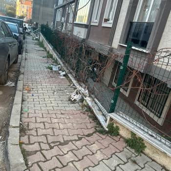 Aydınevler Mahallesi'nde Çöp Sorunu Ve Hijyen Eksikliği