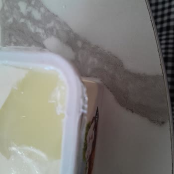 Sürmeli Peynirde Ambalaj Problemi