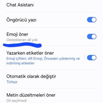 Yazılım Güncellemesi Sonrası Emoji Önerisi Sorunu