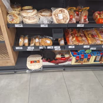 Hijyen Sorunu: Market İçinde Gezen Kedi