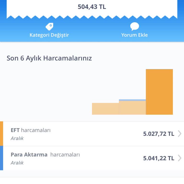 İş Bankası'nda Para Transferi Sorunu