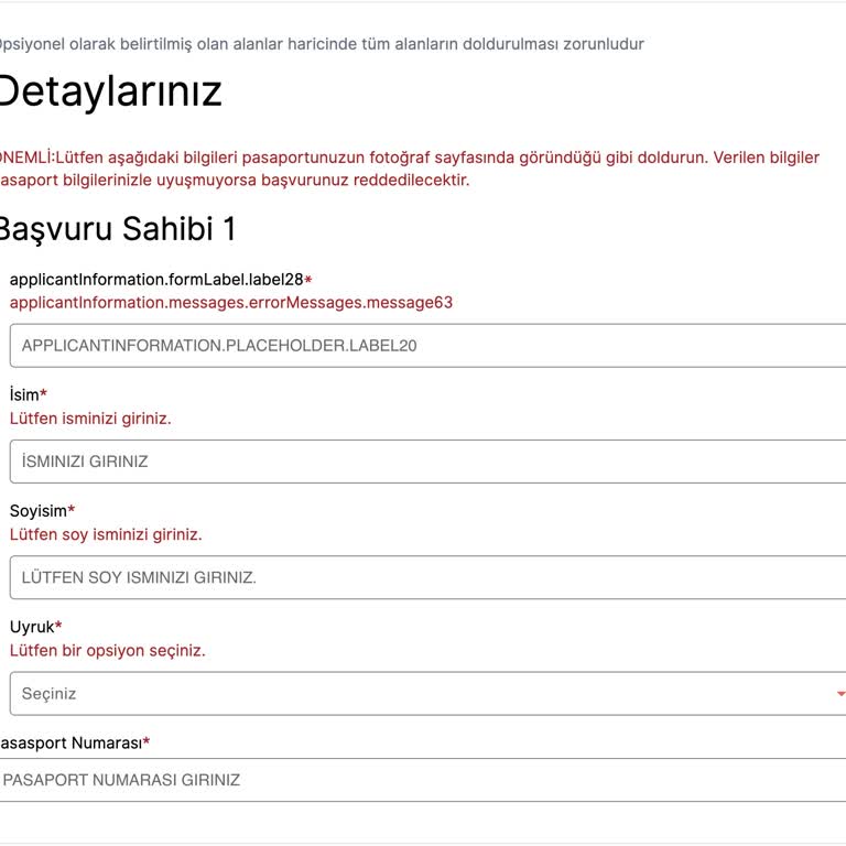 VFS Global Randevu Sisteminde Sürekli Hata
