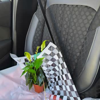 Yanıltıcı Çiçek Gönderimi