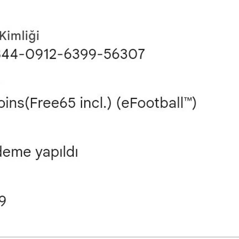 Para İadesi Sorunu Ve Hesap Durumu