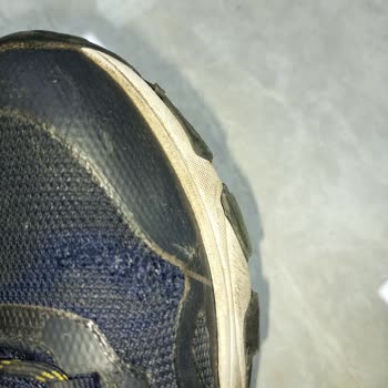 National Geographic Botların Dayanıklılığı Hayal Kırıklığı Yarattı