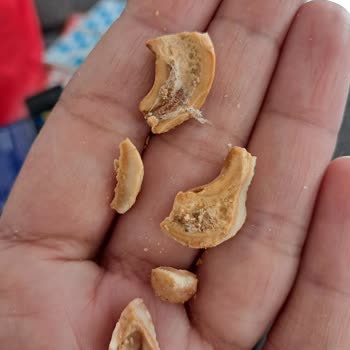 Kuruyemiş Kalitesi Hakkında Endişeler