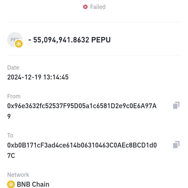 Binance Pepu Inu Coin Transfer Sorunu!