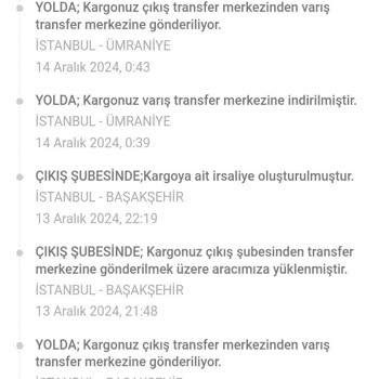 Temu Kayıp Kargo Ve İletişimsizlik Sorunu