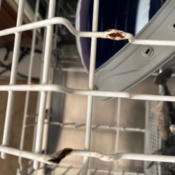 Bosch SGS45E02TR Dishwasher Baskets Rusting – Replacement Costs Too High