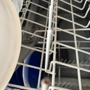 Bosch SGS45E02TR Dishwasher Baskets Rusting – Replacement Costs Too High