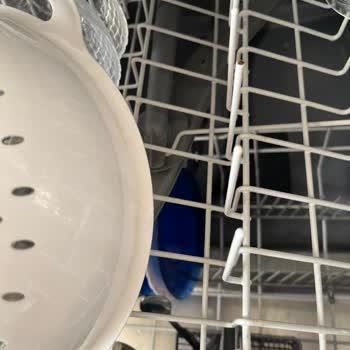 Bosch SGS45E02TR Dishwasher Baskets Rusting – Replacement Costs Too High