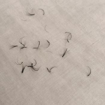 Kirpik Hizmetinde Hayal Kırıklığı Ve İlgisizlik