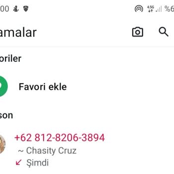 Bilinmeyen Numaradan Gelen Arama Ve Güvenlik Endişesi
