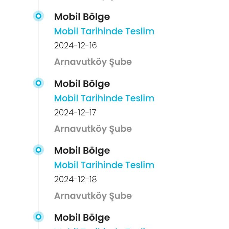Bershka'dan Alınan Montun Teslimatında Kargo Sorunu