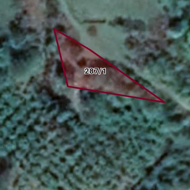 Zonguldak Belediyesi Kaçak Yapı Ve Bahçe Sıkıntısı