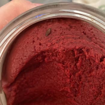 Migros Hemen'den Alınan Salçanın İçinden Böcek Çıkması