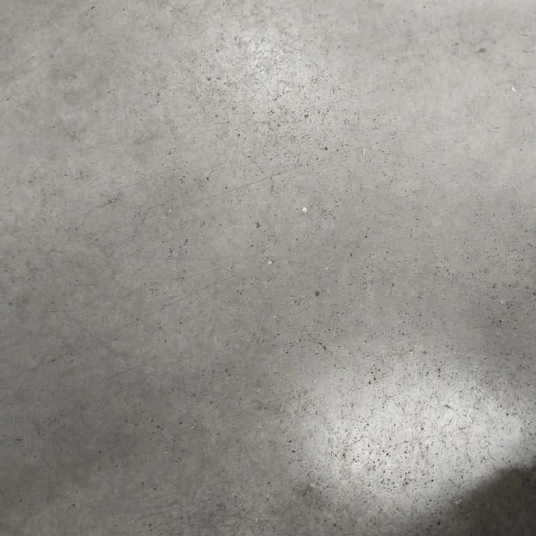 Yeni Aracın Motor Sorunu Ve Renault'un Çözüm Eksikliği