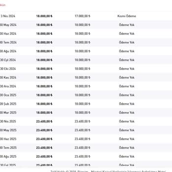 Birevim'de Proje Onay Sürecinde Yaşanan Sorunlar
