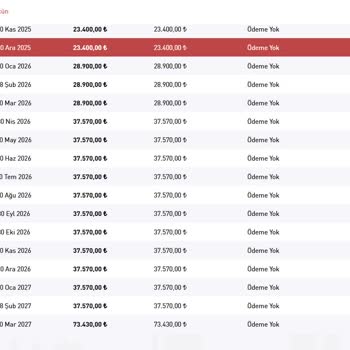 Birevim'de Proje Onay Sürecinde Yaşanan Sorunlar