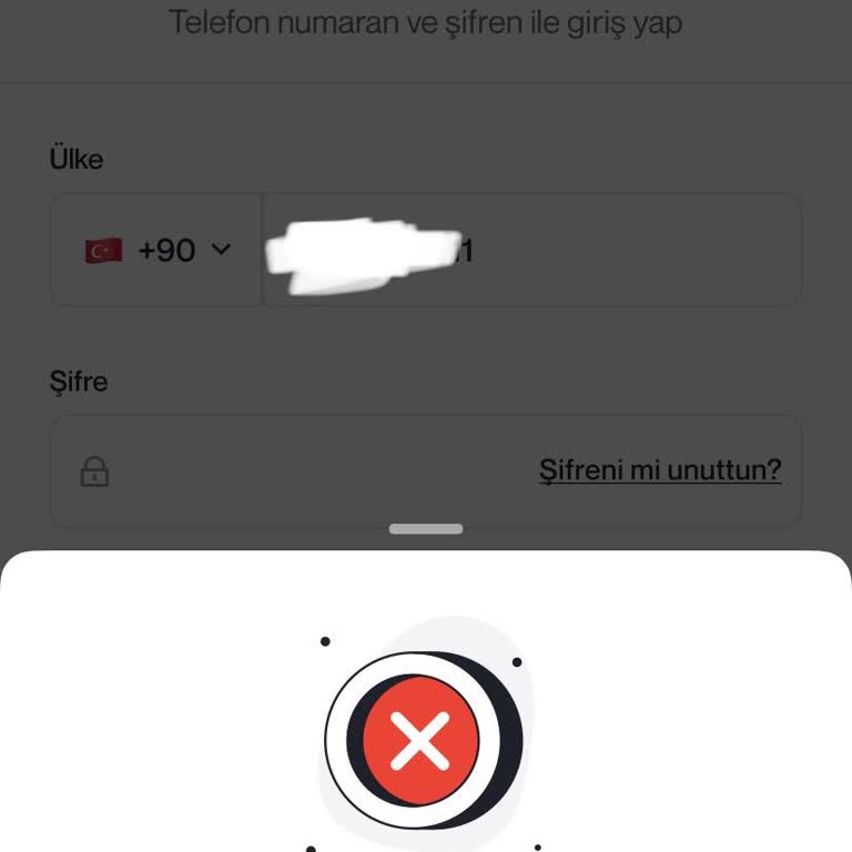 Papel Uygulamasında Giriş Sorunu