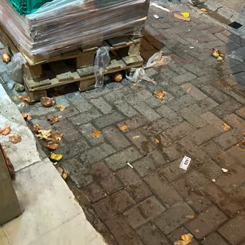 Şok Marketin Apartman Girişini İşgali Ve İlgisiz Çalışanlar