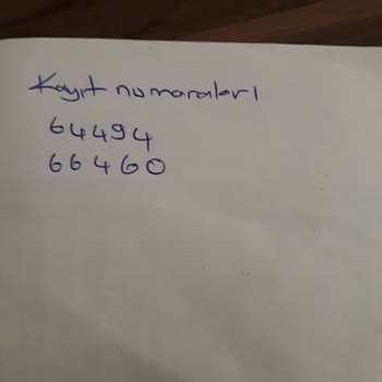 Roidmi Eve Plus Robot Süpürge Sürekli Kilitleniyor