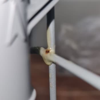 LG Bulaşık Makinesi Sepetlerinde Erken Paslanma Sorunu