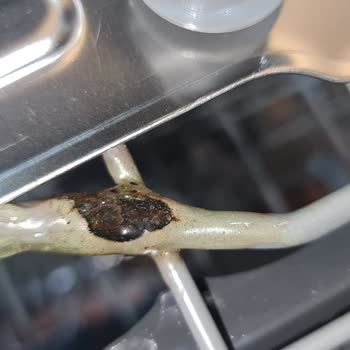 LG Bulaşık Makinesi Sepetlerinde Erken Paslanma Sorunu