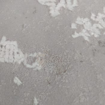 Akdeniz Halı Yıkama (Sivas) Halımızı Ekstra Lekelerle Geri Gönderdiler