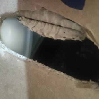 Yanlış Renk Gönderimi Ve Yetersiz Müşteri Hizmeti