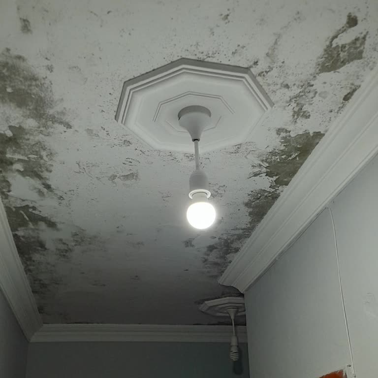 Sika Yapı Kimyasalları Kalitesiz Yalıtım Malzemesi