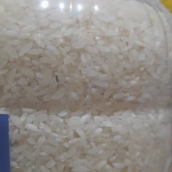 Migros'tan Aldığım Pirinçte Böcek Sorunu