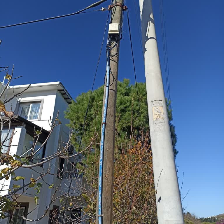 İnternet Kesintisi Ve İlgisizlik