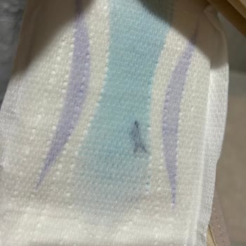 Molped Gece Pedi İçinden Çıkan Mavi Cisim Şok Etkisi Yarattı