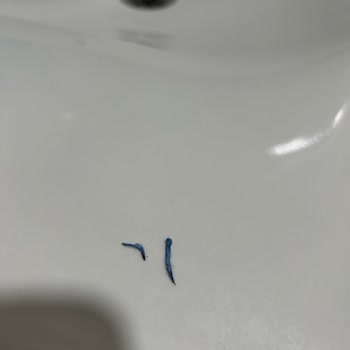 Molped Gece Pedi İçinden Çıkan Mavi Cisim Şok Etkisi Yarattı