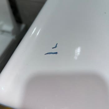 Molped Gece Pedi İçinden Çıkan Mavi Cisim Şok Etkisi Yarattı