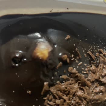 Küflü Tatlı Deneyimi