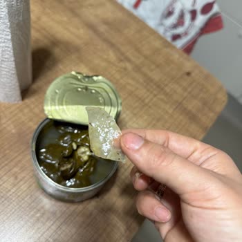 Tamek Sarma Ürününde Beklenmedik Yabancı Madde