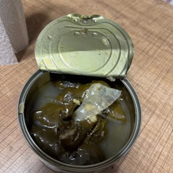 Tamek Sarma Ürününde Beklenmedik Yabancı Madde