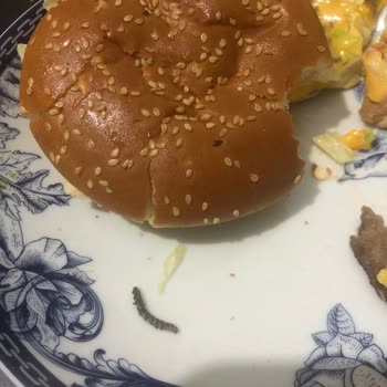 Burger King'ten Gelen Korkunç Sürpriz: Hamburgerde Kırkayak