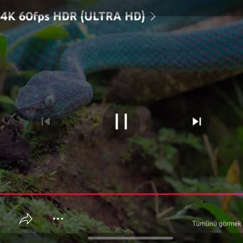 Sosyal Medya Paketi Kullanım Sorunu