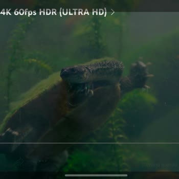 Sosyal Medya Paketi Kullanım Sorunu