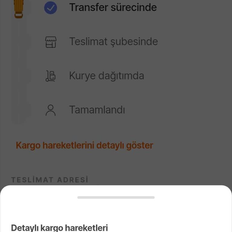 Kargo Hizmetinde Son Zamanlarda Yaşanan Aksaklıklar