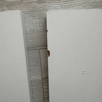 Vivense'den Gelen Hasarlı Ve Eksik Ürünler İçin İade Sorunu