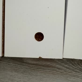 Vivense'den Gelen Hasarlı Ve Eksik Ürünler İçin İade Sorunu